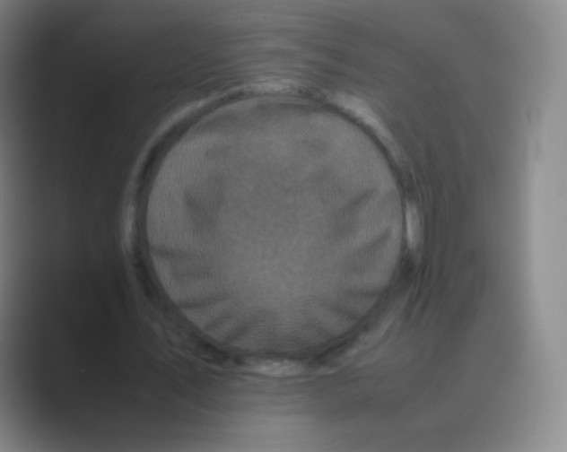 X0000088700579200706282025