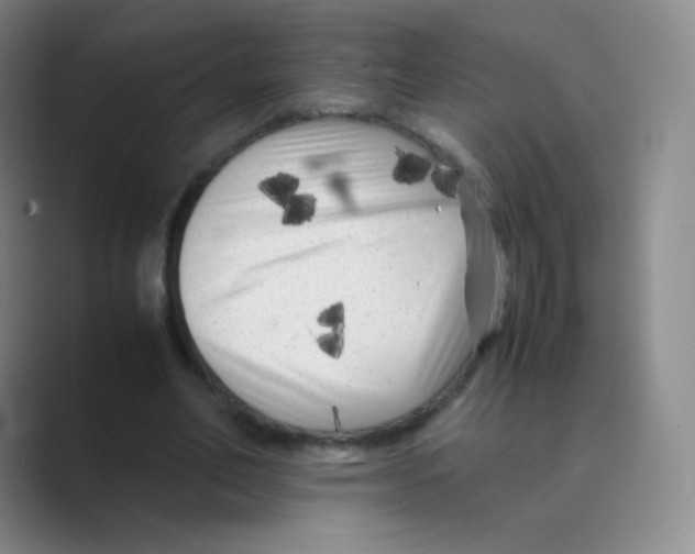 X0000088700582200706282025