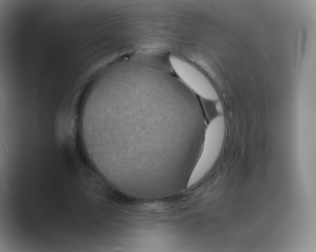 X0000088700583200706282025