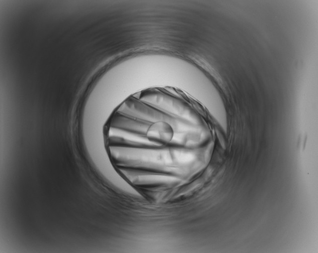 X0000088700584200706282025