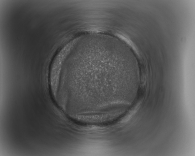 X0000088700585200706282025