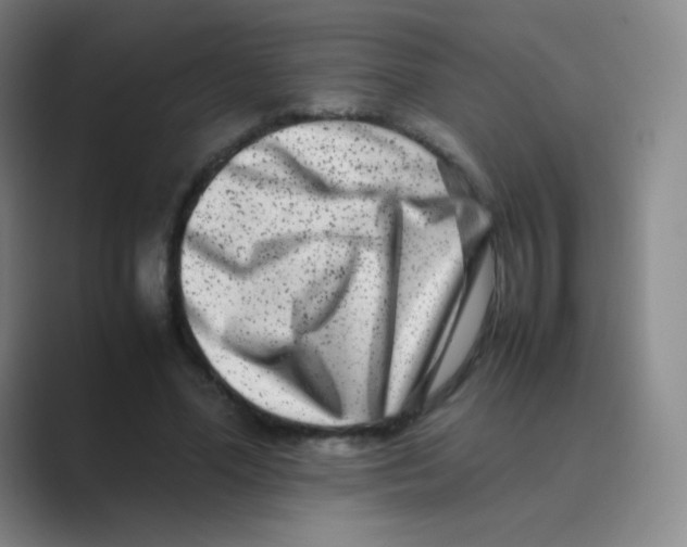 X0000088700588200706282024