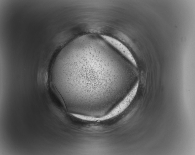 X0000088700589200706282024