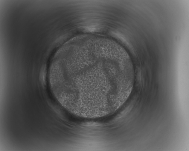 X0000088700590200706282024