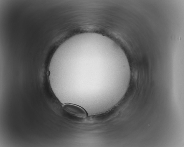 X0000088700591200706282024