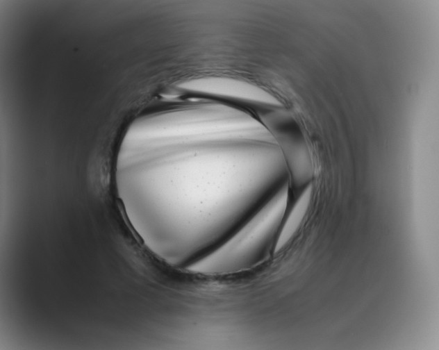 X0000088700593200706282024