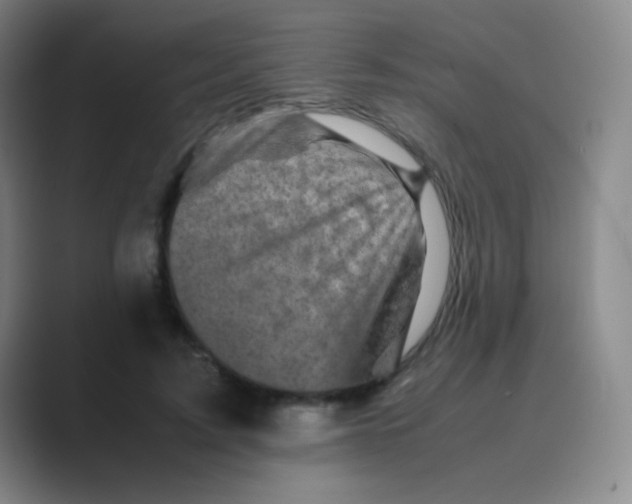 X0000088700595200706282024