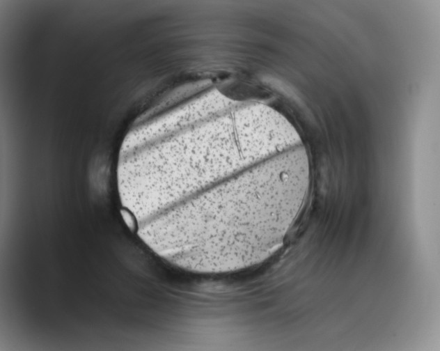 X0000088700596200706282024