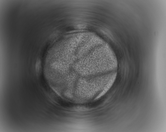 X0000088700598200706282024