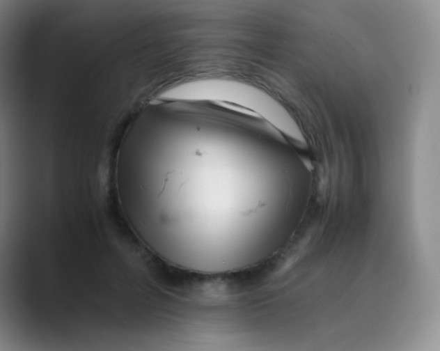 X0000088700600200706282024