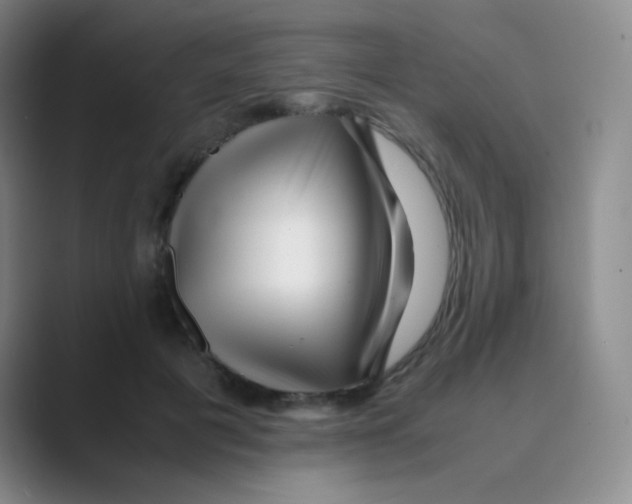 X0000088700601200706282024