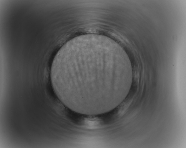 X0000088700603200706282024