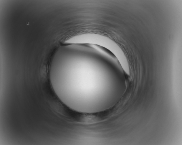 X0000088700605200706282024