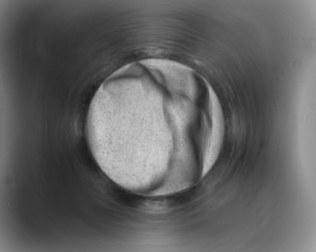 X0000088700606200706282024