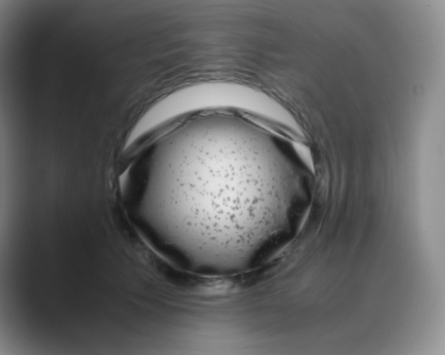 X0000088700609200706282024