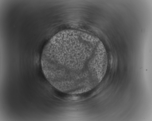 X0000088700610200706282024