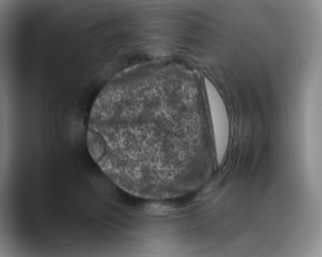 X0000088700614200706282024