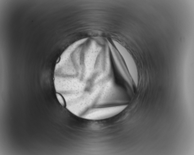 X0000088700616200706282024