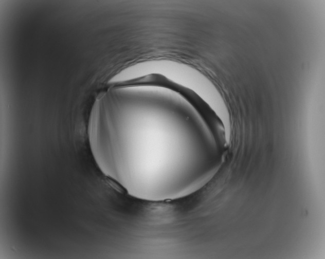 X0000088700617200706282024