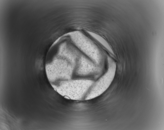 X0000088700620200706282024