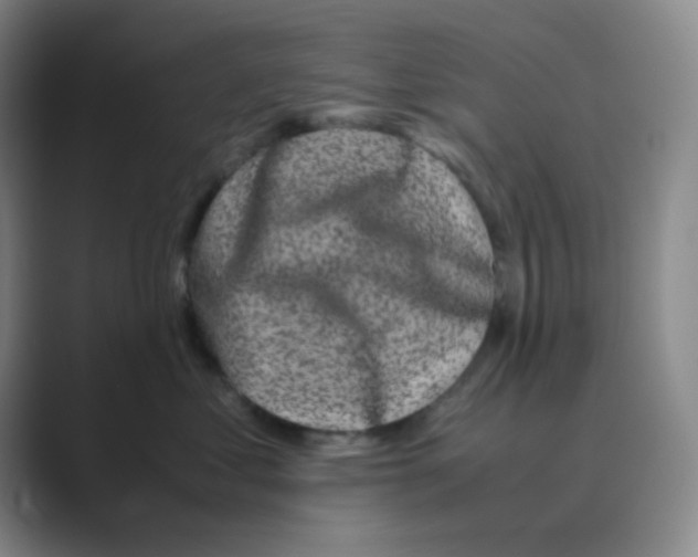 X0000088700621200706282024