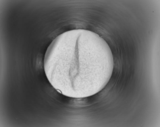 X0000088700622200706282024