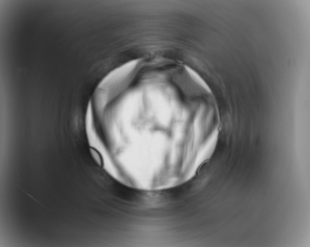 X0000088700623200706282024