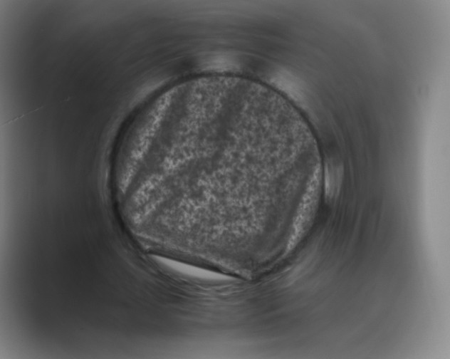 X0000088700627200706282023