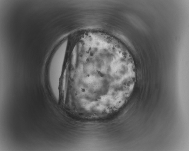 X0000088700628200706282023