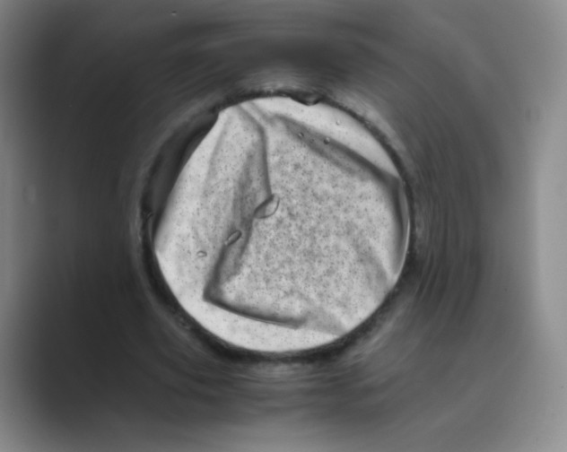 X0000088700629200706282023