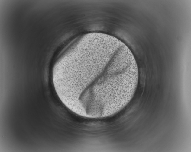 X0000088700631200706282023