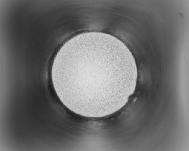 X0000088700632200706282023