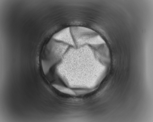 X0000088700633200706282023