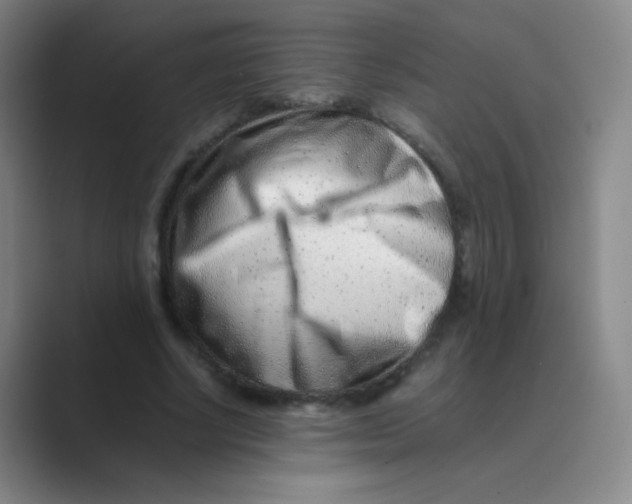 X0000088700634200706282023