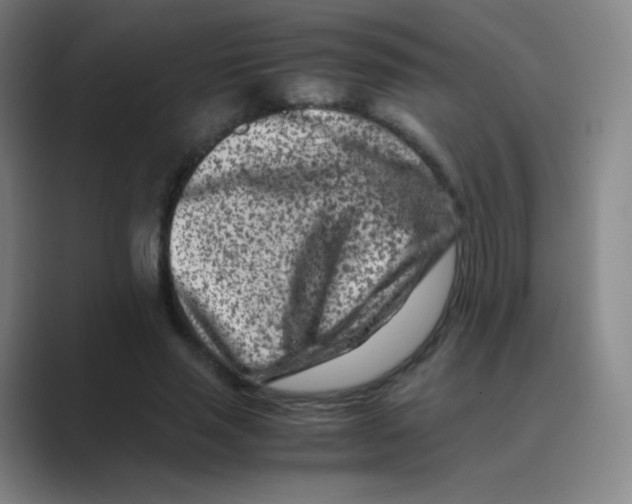 X0000088700637200706282024