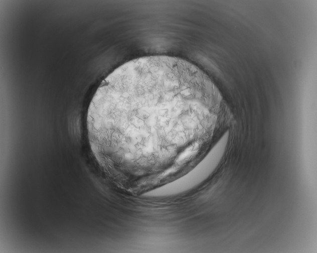 X0000088700638200706282024