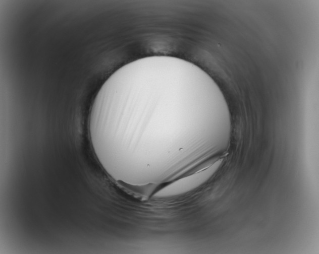 X0000088700639200706282024