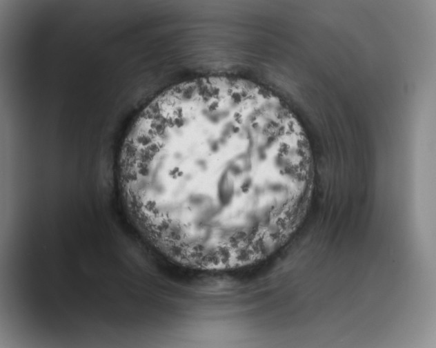 X0000088700642200706282024