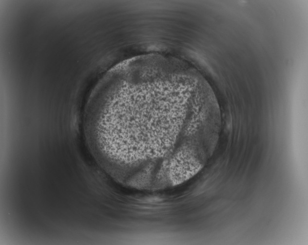 X0000088700643200706282024