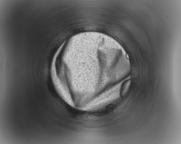 X0000088700648200706282024