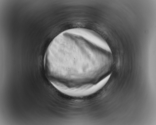 X0000088700649200706282024