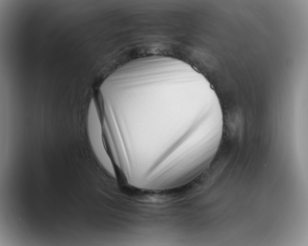 X0000088700657200706282024