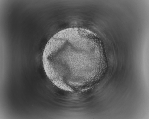 X0000088700659200706282024