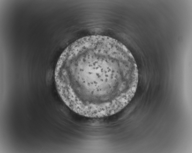 X0000088700660200706282024