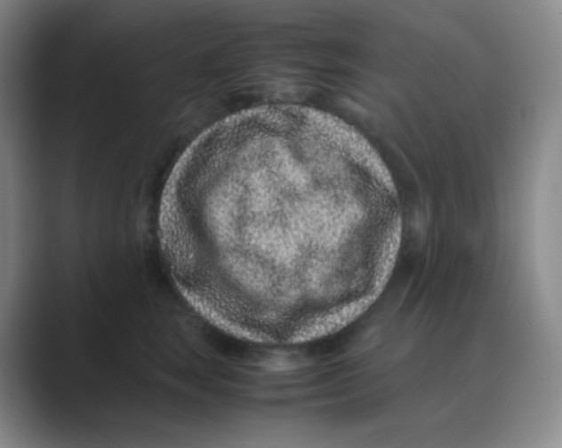 X0000088700663200706282024