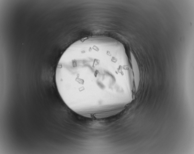 X0000088700664200706282024