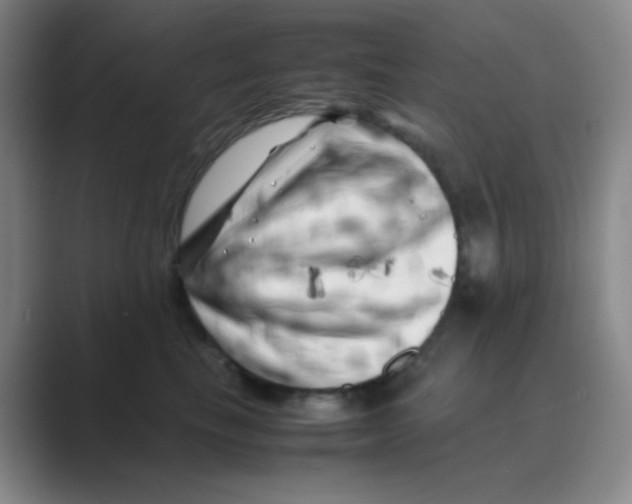 X0000088700665200706282024