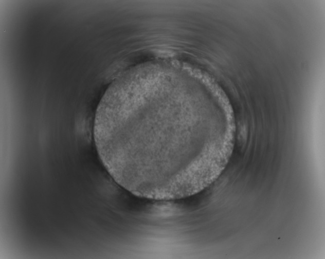 X0000088700666200706282024