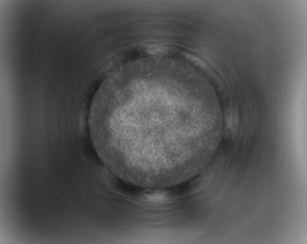 X0000088700667200706282024