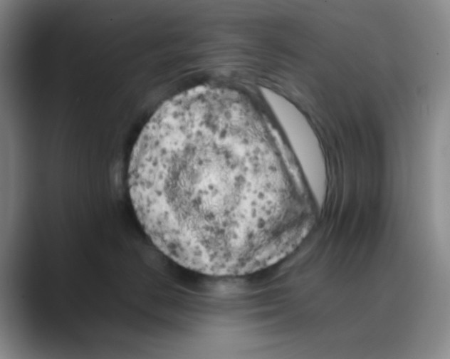 X0000088700670200706282024